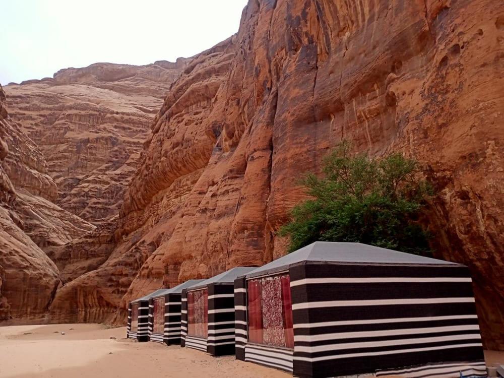 Shahrazad Desert, Вади Рум Екстериор снимка