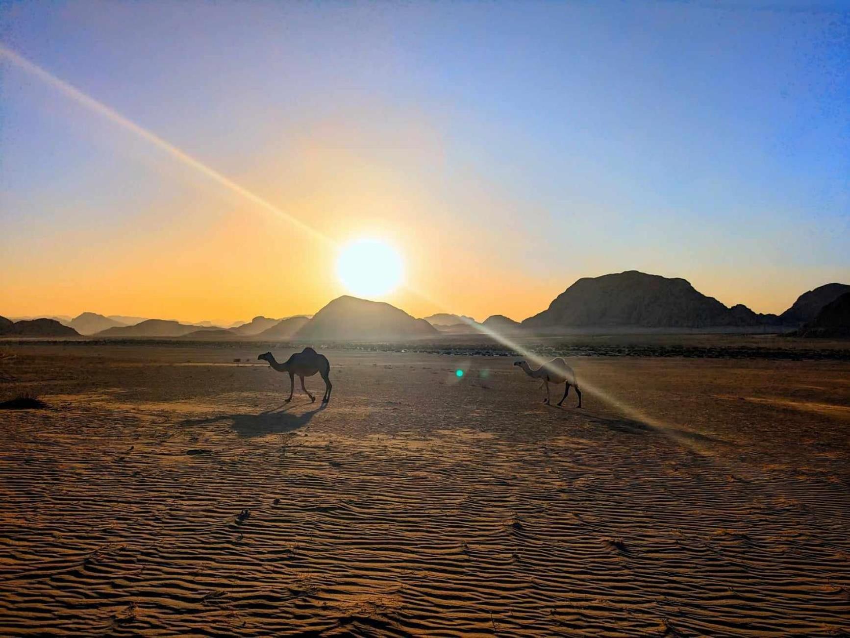Shahrazad Desert, Вади Рум Екстериор снимка
